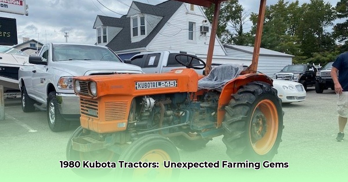 1980-kubota-tractor-models